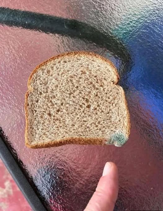 How to Prevent Mold on Sourdough Bread (Easy Storage Tips)