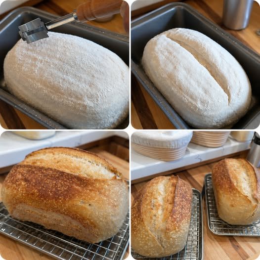 Sourdough Bread – Easy Homemade Recipe for Beginners