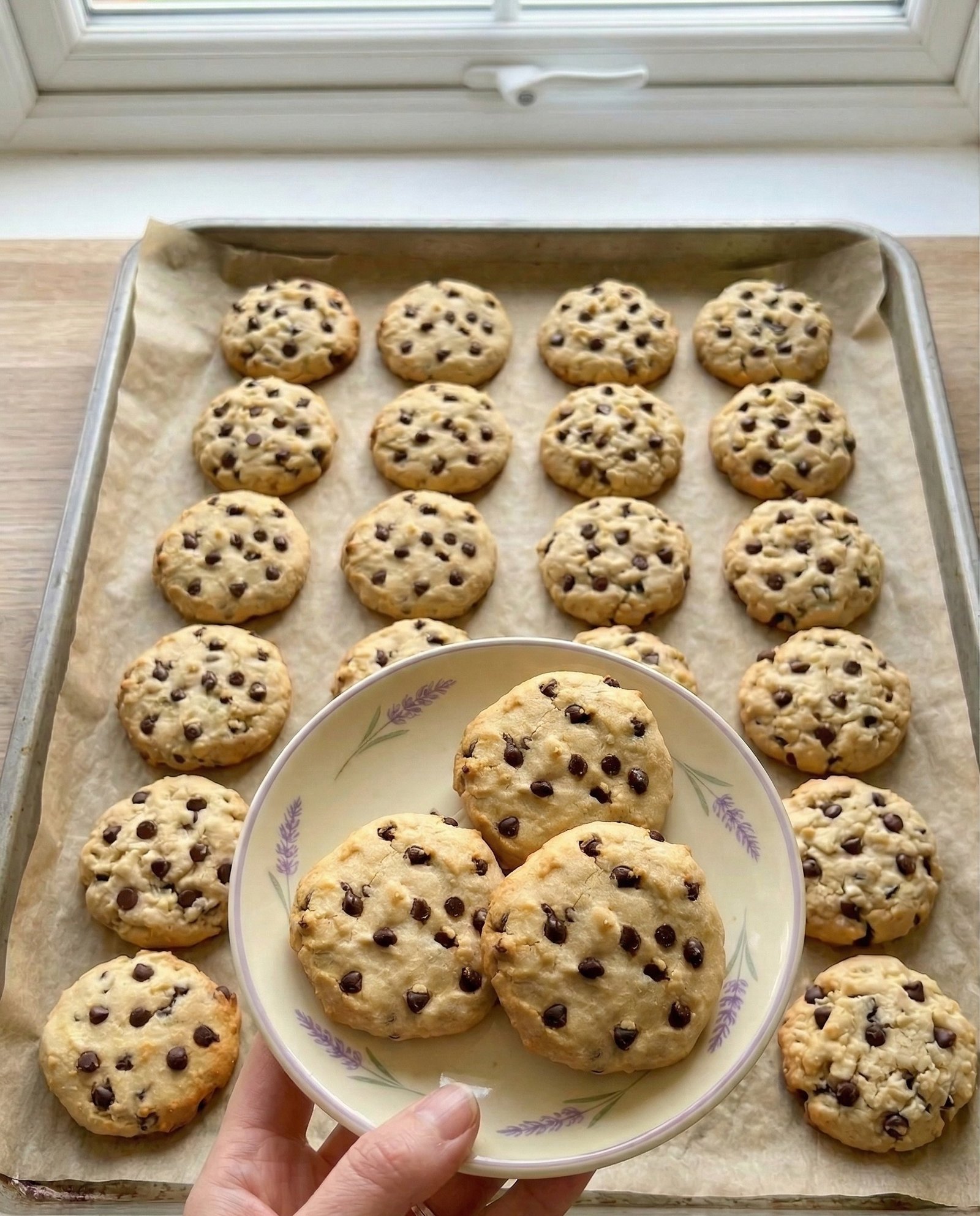 Cottage Cheese Almond Flour Cookies (Soft, Healthy & Easy)